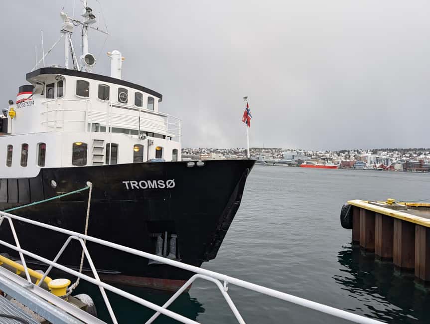 Tromsø: Classic arctic fjord cruise with lite lunch - Key things to know before boarding
