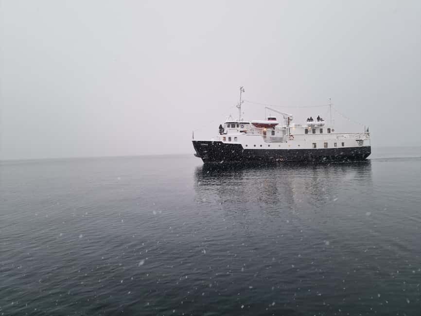 Tromsø: Classic arctic fjord cruise with lite lunch - A classic boat with a complicated setup