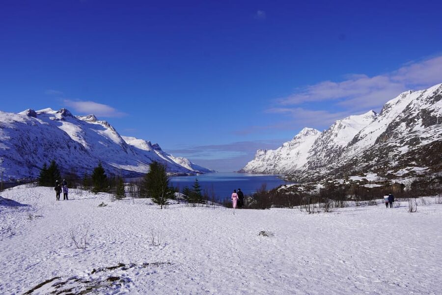 Tromsø: Exclusive Fjord Adventure by Bus - Why this is a good daytime break from Tromsø