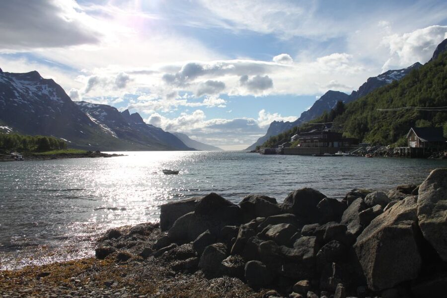 Tromsø: Exclusive Fjord Adventure by Bus - How the guides shape the experience