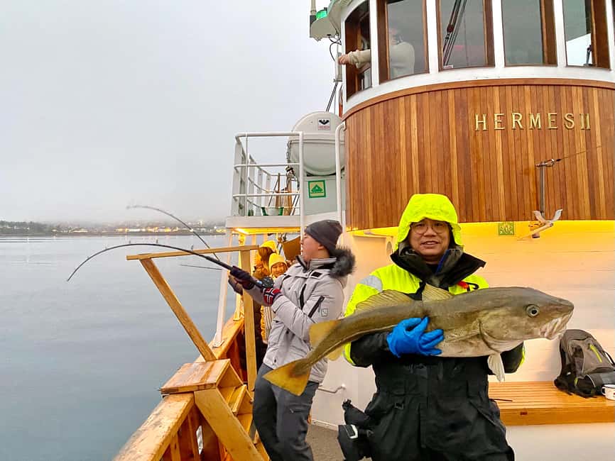 Tromsø: Fishing & Fjord Cruise - Key points to know before booking