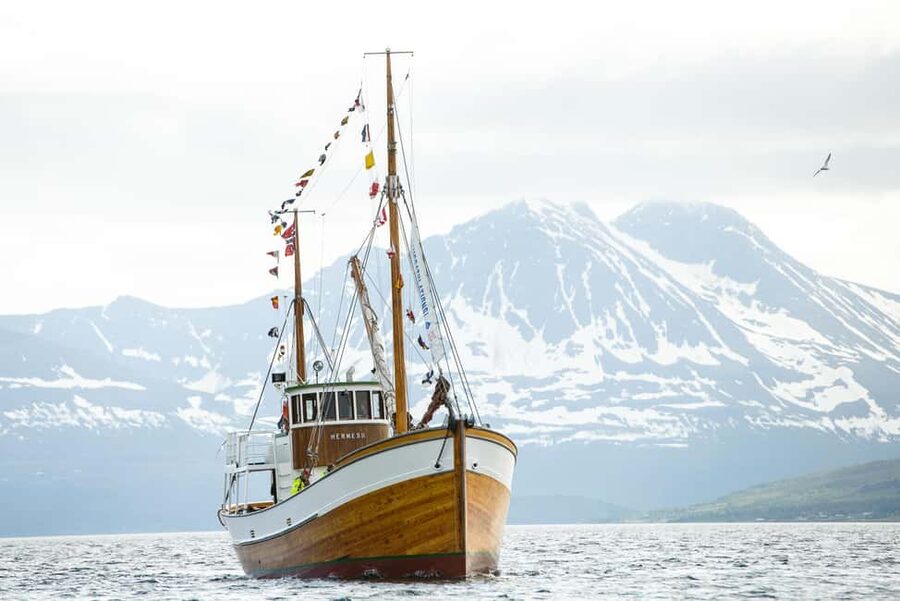 Tromsø: Fishing & Fjord Cruise - Staying warm in changing weather