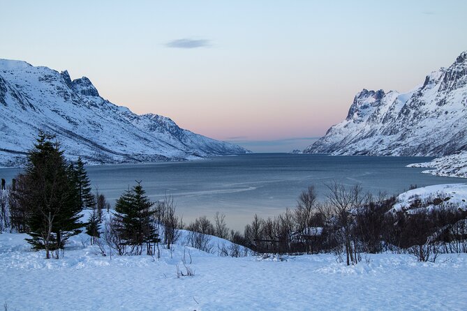 Tromsø: Fjord Adventure Tour with Wildlife and Lunch - Fjords, frozen lakes, and changing viewpoints