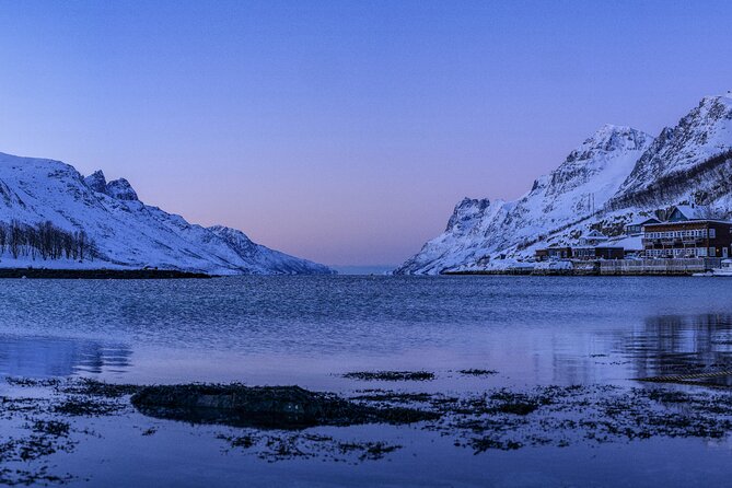 Tromsø: Fjord Adventure Tour with Wildlife and Lunch - Photography help from Andreas or Johannes
