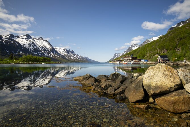 Tromsø: Fjord Adventure Tour with Wildlife and Lunch - A simple lunch beside the sea