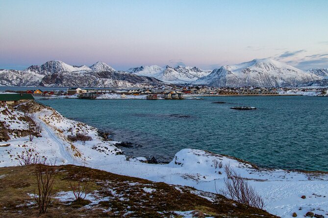 Tromsø: Fjord Adventure Tour with Wildlife and Lunch - Is the $127.57 price good value?