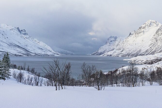 Tromsø: Fjord Adventure Tour with Wildlife and Lunch - Wildlife: treat it as a bonus, not the main promise