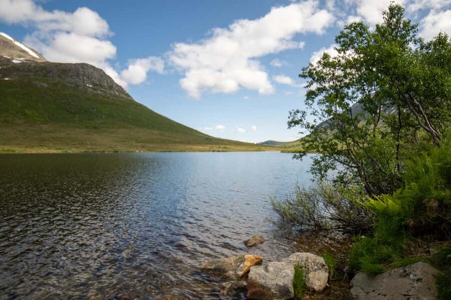 Tromsø: Fjord Adventure with Lunch and Photos - Who should book this experience?