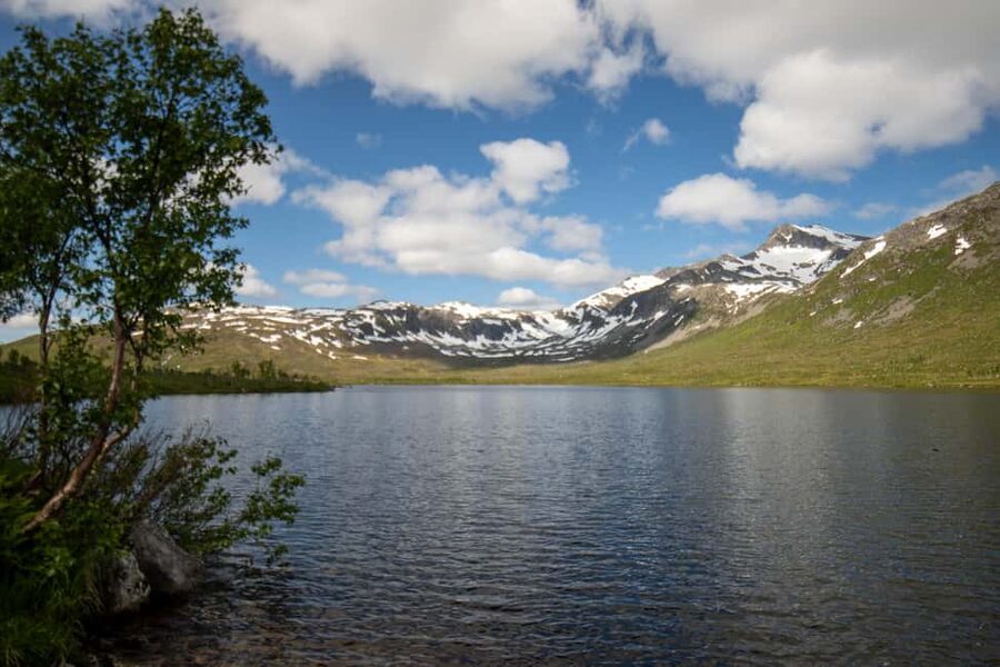 Tromsø: Fjord Adventure with Lunch and Photos - Four Kvaløya photo stops, each with a different mood