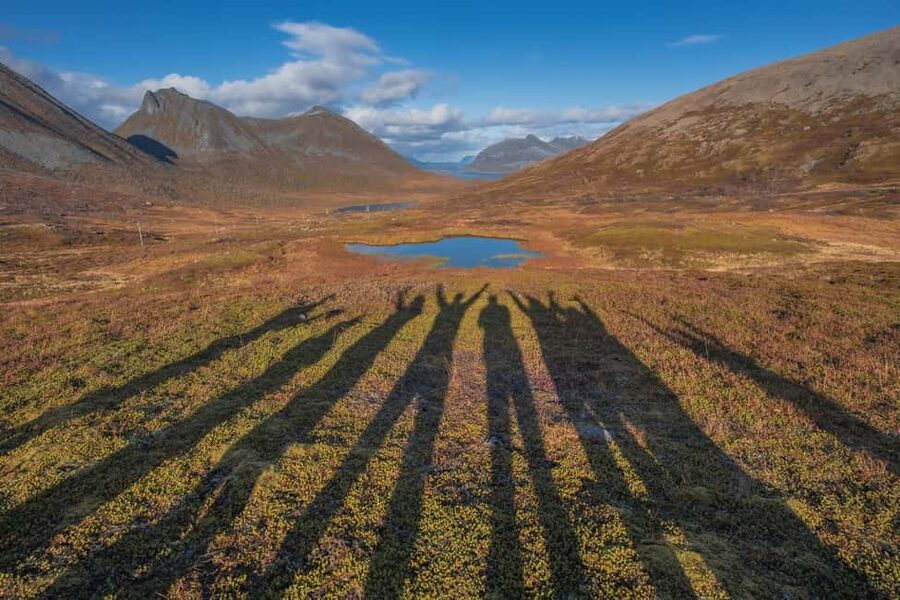 Tromso: Fjord Arctic Adventure Expedition - Reindeer, sea eagles, seals, and the luck of the day