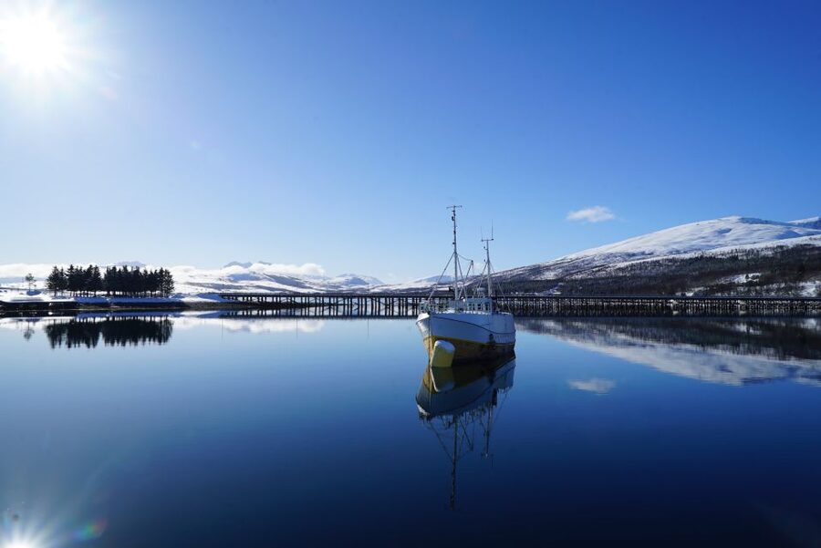 Tromsø: Fjord Cruise by Luxury Yacht - Booking advice and final verdict