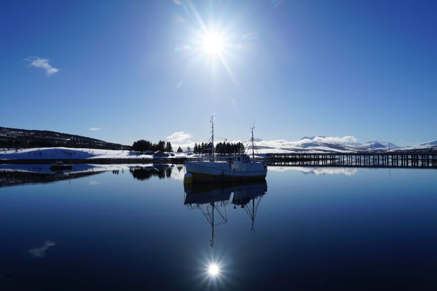 Tromsø: Fjord Cruise by Luxury Yacht - Norwegian fish soup on the return trip