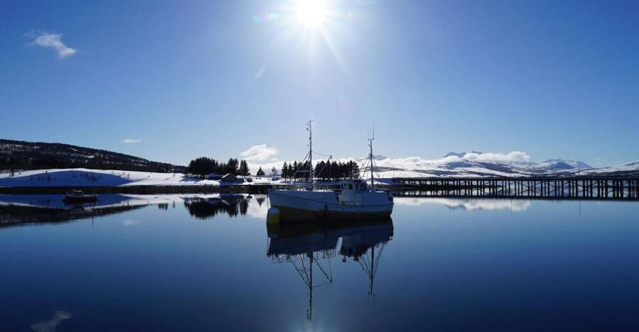 Tromsø: Fjord Cruise by Luxury Yacht - Who will get the most from this cruise?