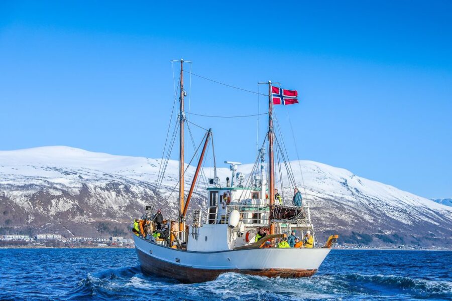 Tromsø: Fjord History Cruise with Snack and Drinks - Who should book this Tromsø cruise?