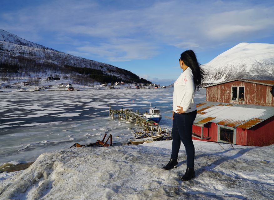 Tromsø: Fjord Sightseeing in a Tesla X Luxury Electric Car - Grøtfjord and the final coastal views