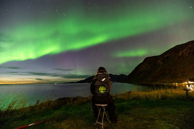 Tromsø Fjordland Aurora Chase Northern Lights by the Arctic Sea - Key points to know before booking