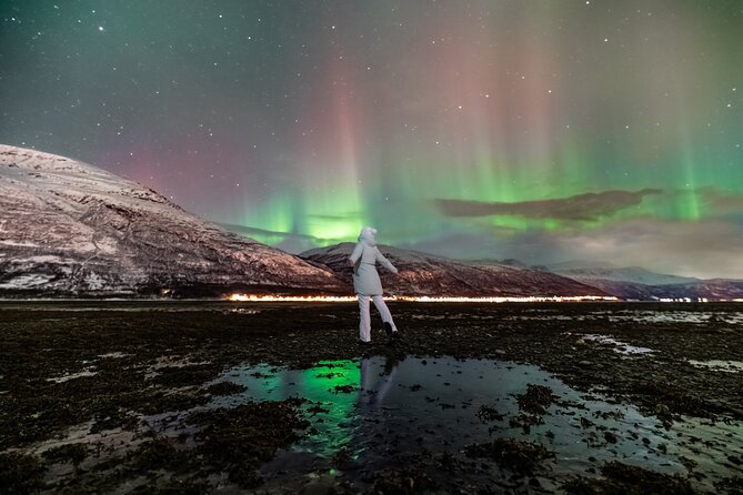 Tromsø Fjordland Aurora Chase Northern Lights by the Arctic Sea - The value of free professional aurora photos