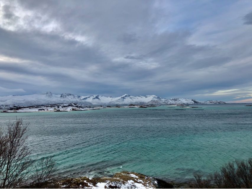 Tromsø: Fjords and Sommarøy Islands Tour with Salmon Picnic - Key points to know before you go