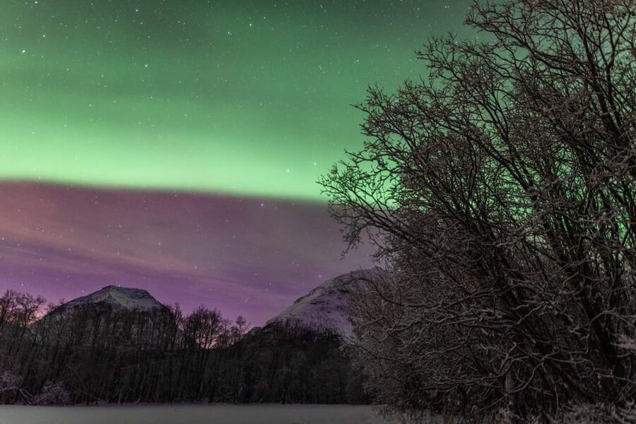 Tromsø: Fjords & Beaches Tour with Campfire and Arctic Food - The schedule is flexible for a good reason