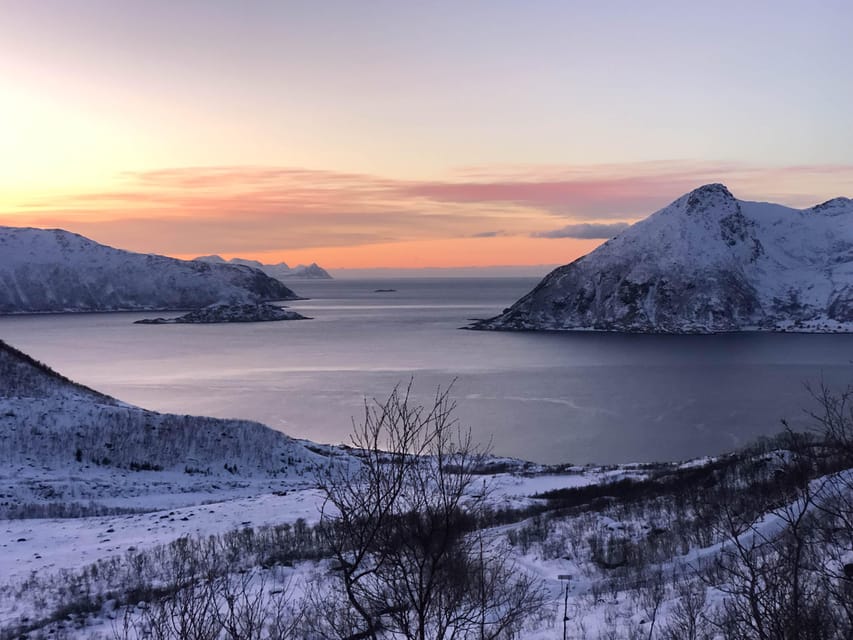 Tromsø: Fjords & Beaches Tour with Campfire and Arctic Food - Is $304 a fair price?