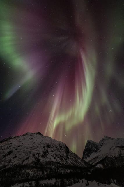 Tromsø: Fjords & Beaches Tour with Campfire and Arctic Food - A note about the reindeer sausage season