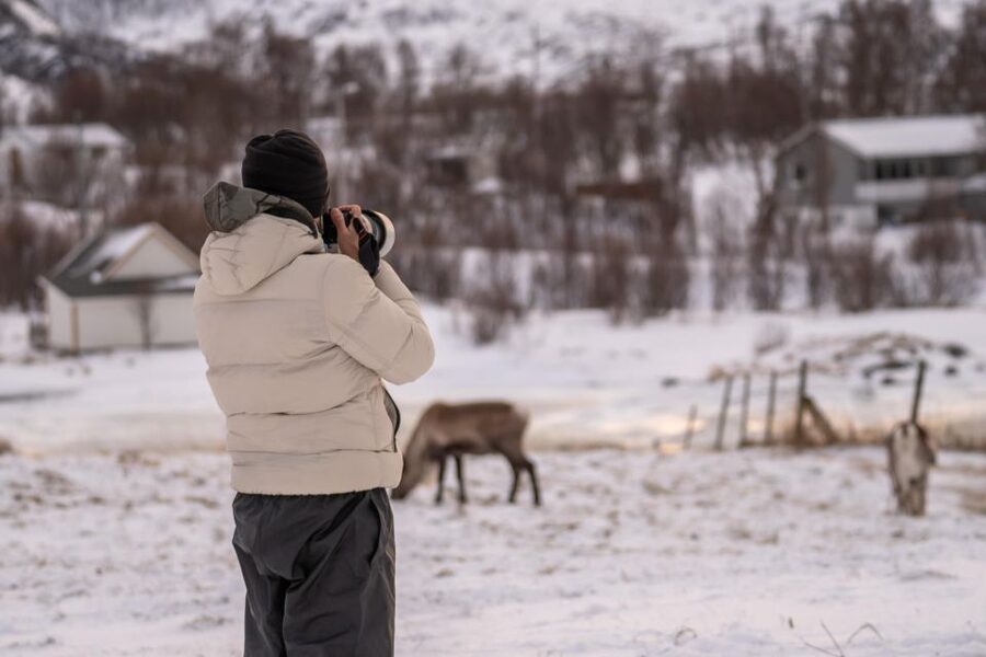 Tromsø: Fjords Tour - Key points to know before booking