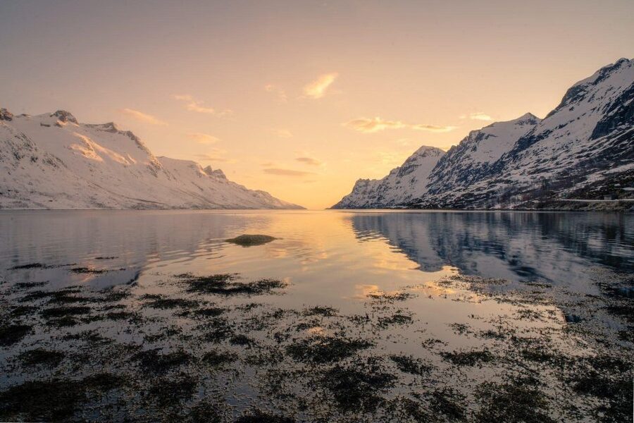 Tromsø: Fjords Tour - Traditional villages and Norwegian coastal life