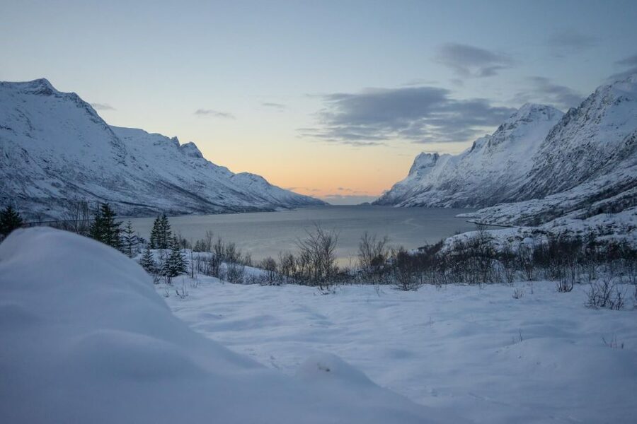 Tromsø: Fjords Tour - Transport, group size, and comfort
