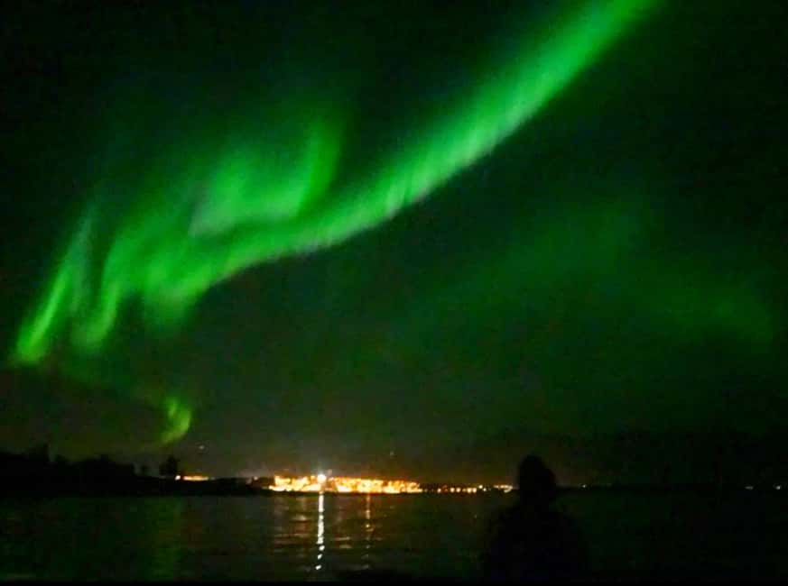 Tromsø: Guided Arctic Nature & Fjord Small Group Tour - Key points to know before you book