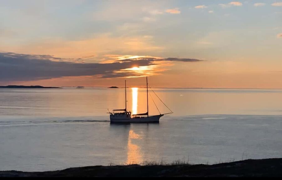 Tromsø: Guided Arctic Nature & Fjord Small Group Tour - Why this Tromsø road trip works