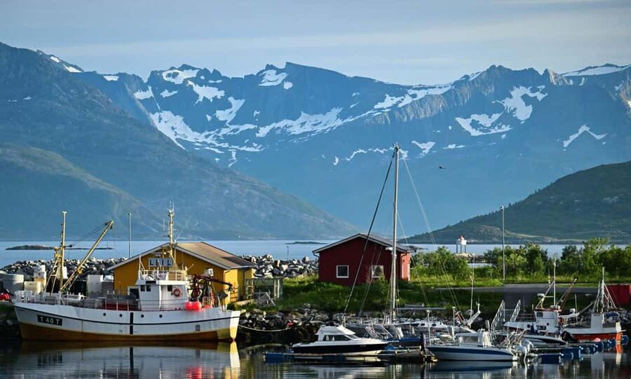 Tromsø: Guided Arctic Nature & Fjord Small Group Tour - Sommarøy, the longest break and main reward