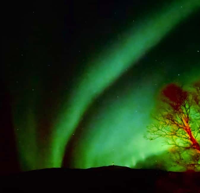 Tromsø: Guided Arctic Nature & Fjord Small Group Tour - What the small group and guide add