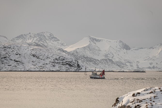 Tromsø: Kvaløya & Sommarøy Guided Fjord Tour with Lunch - Soup lunch in a Norwegian coastal setting