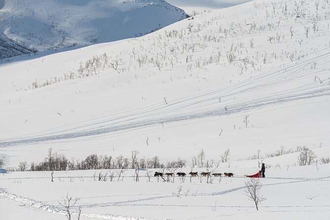 Tromsø: Kvaløya & Sommarøy Guided Fjord Tour with Lunch - Is $181.50 a fair price?