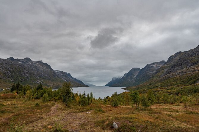 Tromsø: Kvaløya & Sommarøy Guided Fjord Tour with Lunch - Who will enjoy this Sommarøy outing?