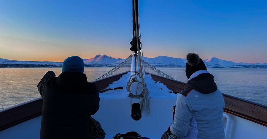 Tromsø: Luxury Polar Fjord Cruise w/ Hot Tub & Polar Plunge - Wildlife watching with binoculars ready