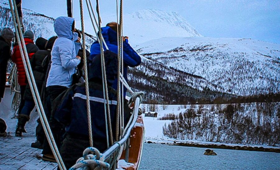 Tromsø: Luxury Polar Fjord Cruise w/ Hot Tub & Polar Plunge - How the price compares at $281