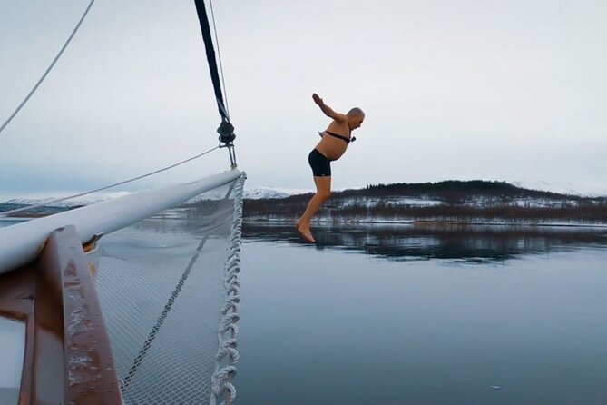 Tromso Luxury Sailing Yacht Polar Fjord Cruise with Lunch - Reindeer soup makes lunch feel local