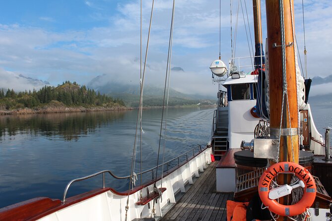 Tromsø Luxury Summer Fjord Cruise with Lunch - Should You Book the Tromsø Fjord Cruise?