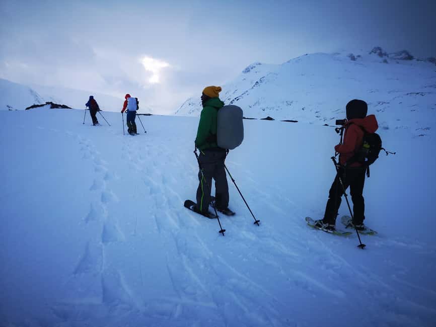 Tromsø: Midnight Fjord Tour - Sommarøy’s Beaches, Cliffs, and Fjords