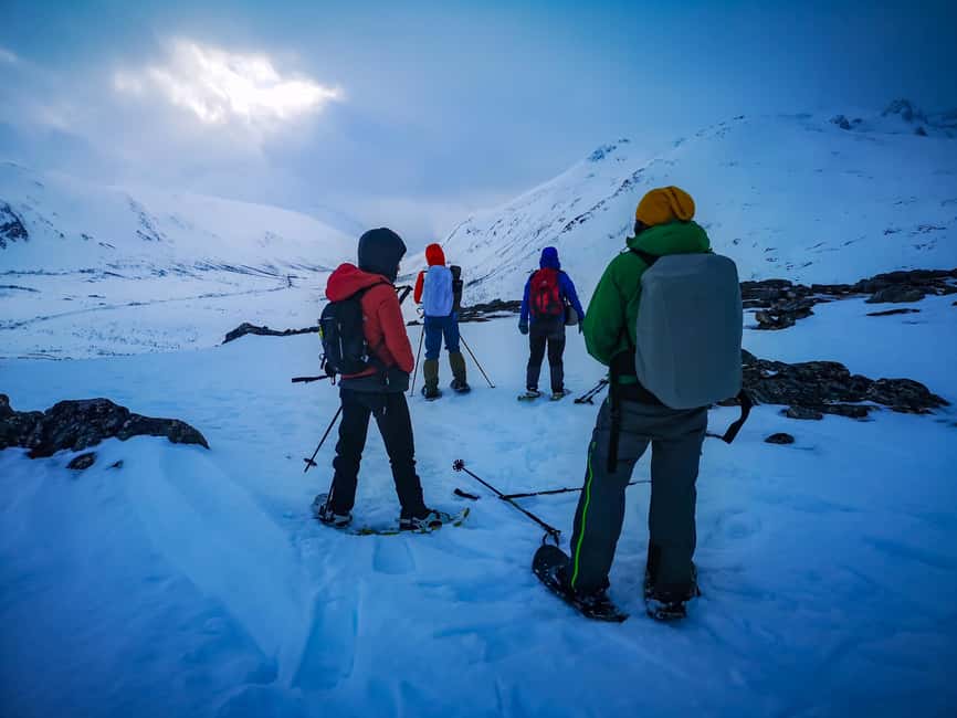 Tromsø: Midnight Fjord Tour - What the Guide-Photographer Adds