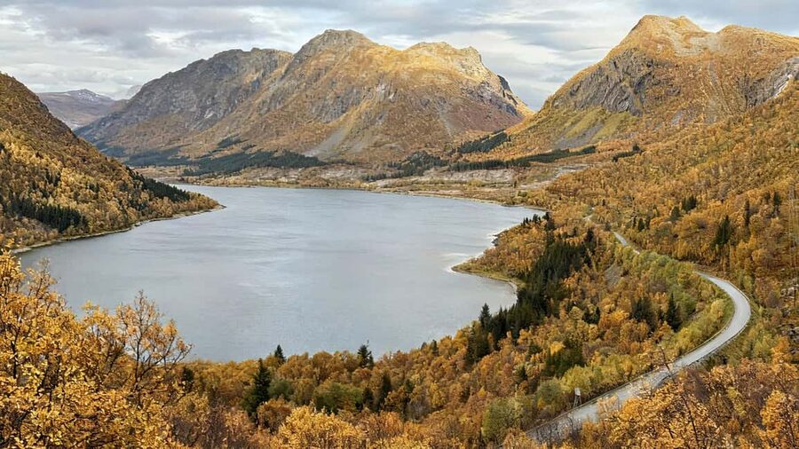 Tromsø: Senja Fjords & Coast Day Tour with FREE Photos - Ersfjord Beach and the Arctic coast