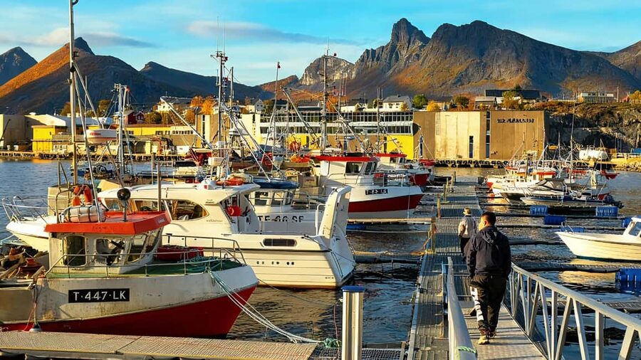 Tromsø: Senja Fjords & Coast Day Tour with FREE Photos - Bergsbotn for a final high view