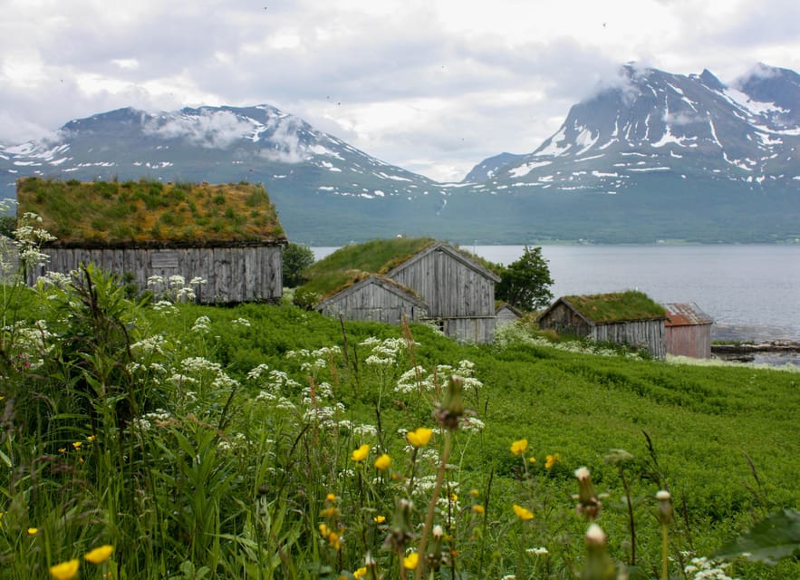 Tromsø: Small group Fjord Adventure, by Local - Why this Tromsø fjord trip feels different