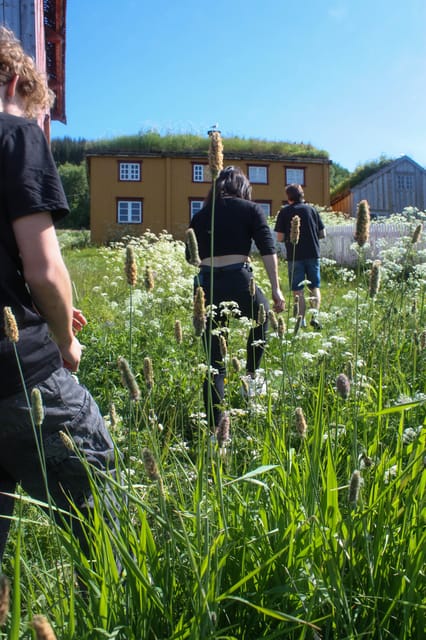 Tromsø: Small group Fjord Adventure, by Local - Hella, Straumsgården, and the quieter roadside stops