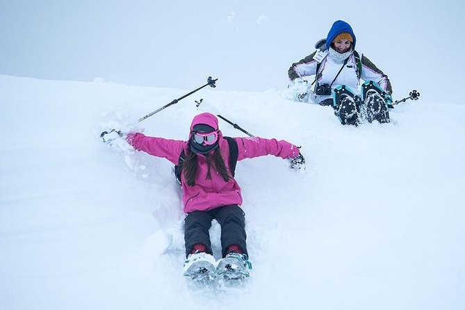 Tromso Snowshoeing - Valley, Fjord Views, Wildlife, Meal & Pickup - A route chosen for weather and group ability