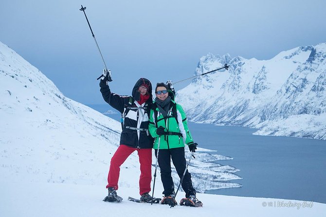 Tromso Snowshoeing - Valley, Fjord Views, Wildlife, Meal & Pickup - Wildlife in a quiet Arctic setting