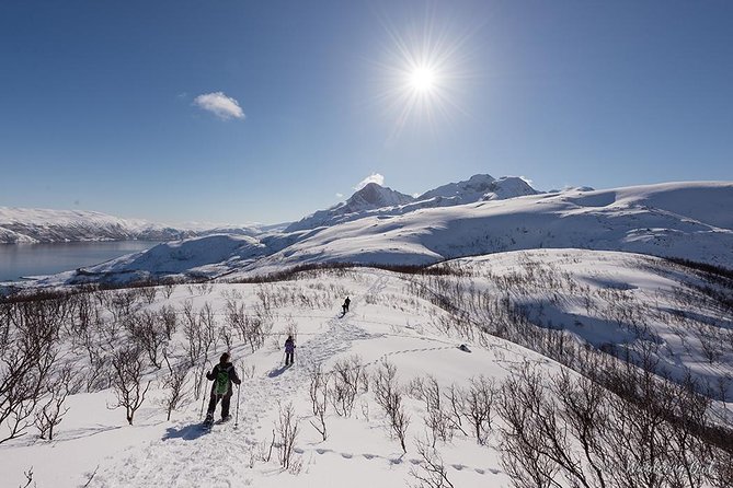 Tromso Snowshoeing - Valley, Fjord Views, Wildlife, Meal & Pickup - Lunch with a view, plus hot drinks