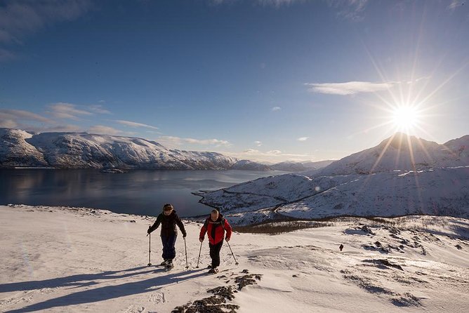 Tromso Snowshoeing - Valley, Fjord Views, Wildlife, Meal & Pickup - Photos are a useful extra