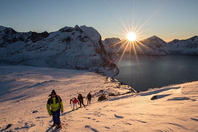 Tromso Snowshoeing - Valley, Fjord Views, Wildlife, Meal & Pickup - Snowshoes or boots, depending on the day